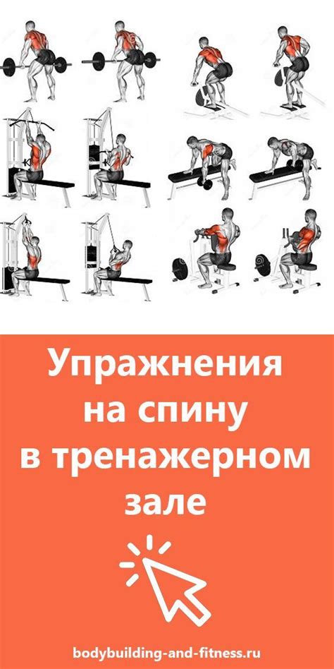 Лучшие упражнения для домашних тренировок без специального инвентаря