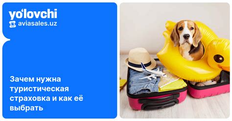 Туристическая страховка: что покрывает и как выбрать выгодно